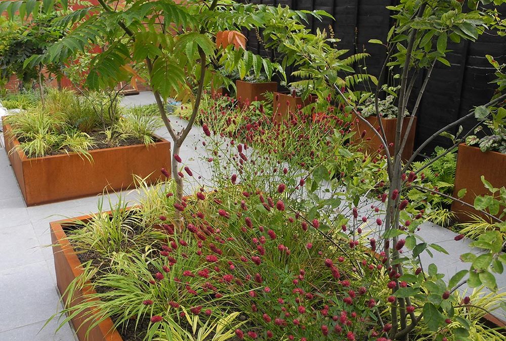 Contemporary Garden, Glasgow