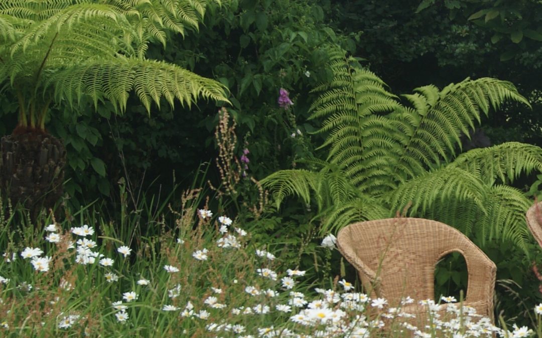 Cottage garden, Fenwick, Ayrshire