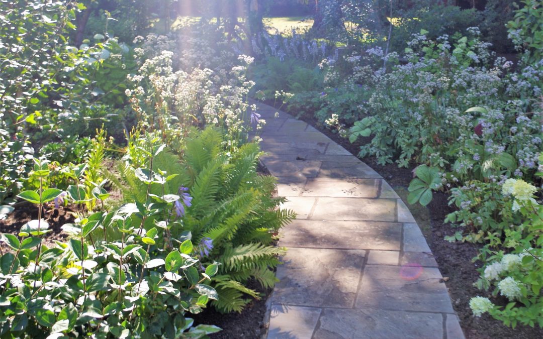 Woodland Garden, Ayr