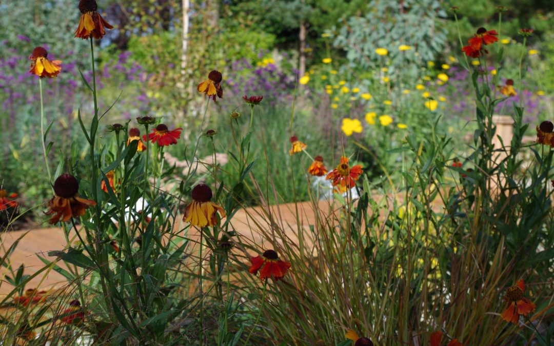 Coastal Garden, Troon